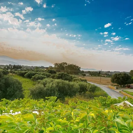 Daire Babi's - Garden