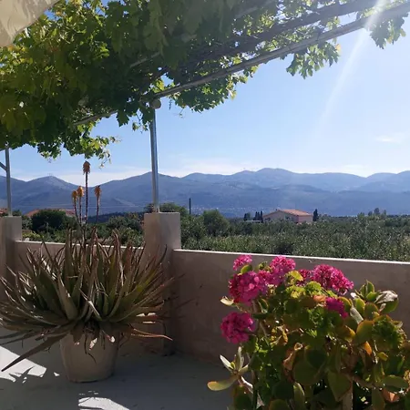 Babi's - Garden * Lixouri